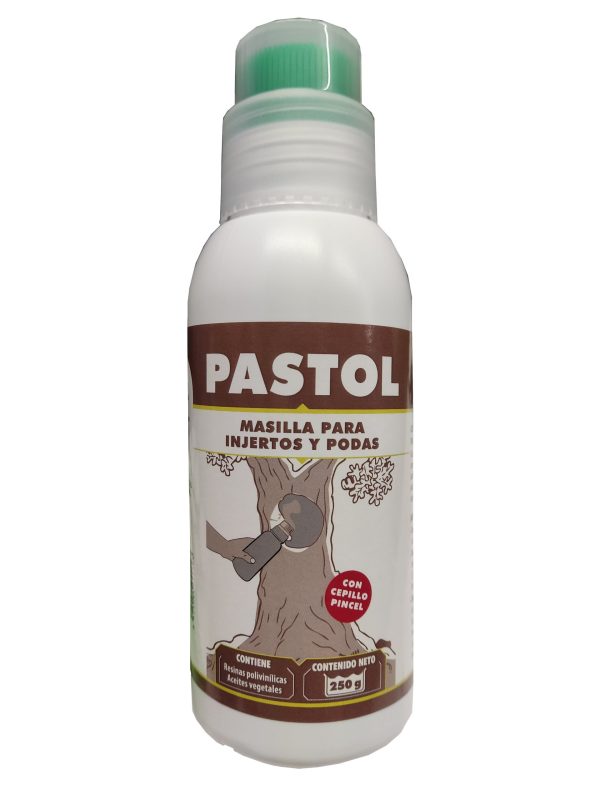 Pastol Pasta Cicratizante 250 gr