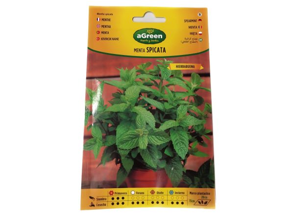 Semillas Menta Spicata Hierbabuena