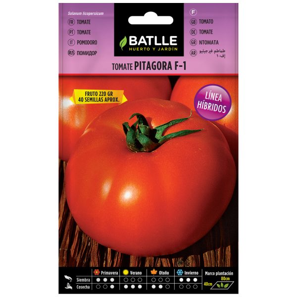 Semillas Tomate Pitagora (Virgilio) Híbrido F-1
