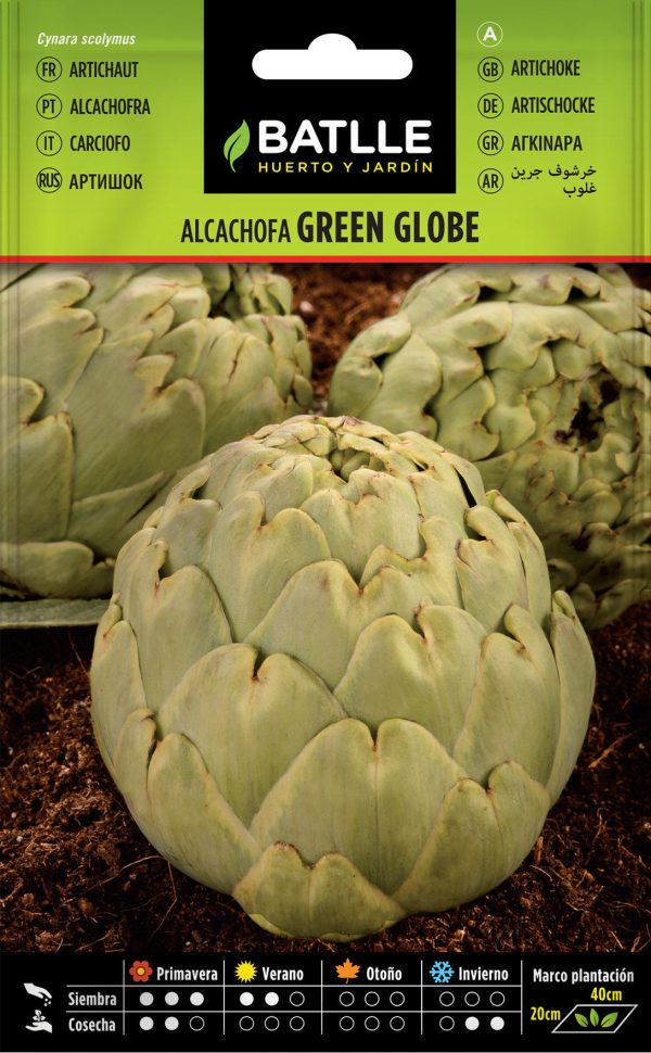 Semillas Alcachofa Green Globe