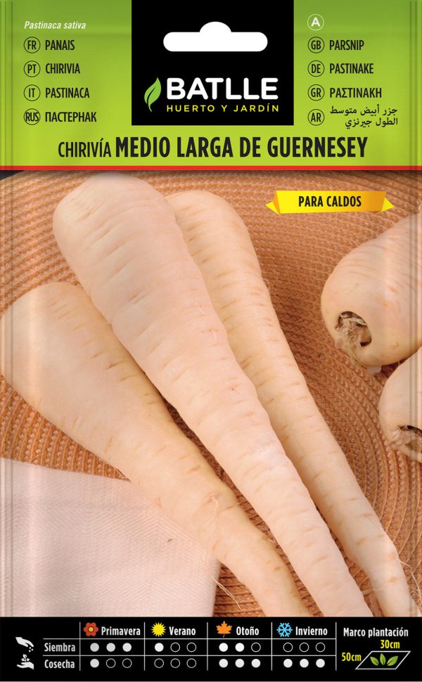 Semillas Chirivia Medio Larga De Guernesey