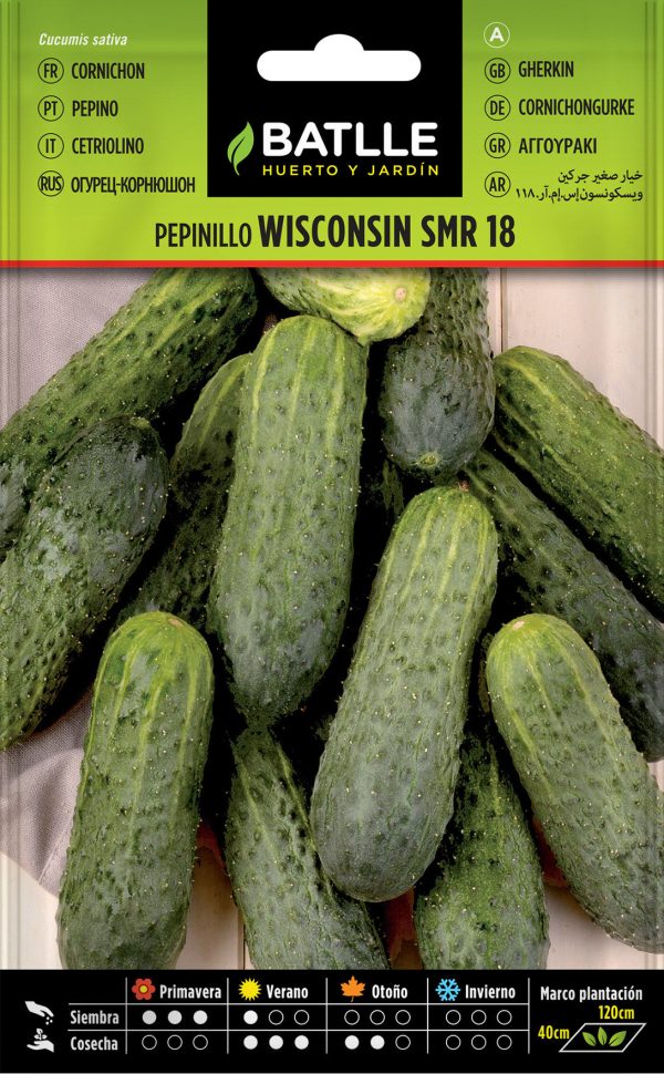 Semillas Pepinillo Wisconsin Smr 18