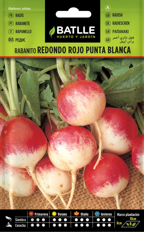 Semillas Rabanito Redondo Rojo Punta Blanca
