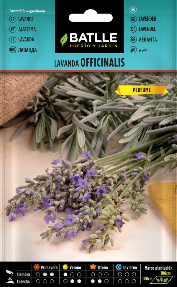 Semillas Lavanda Officinalis