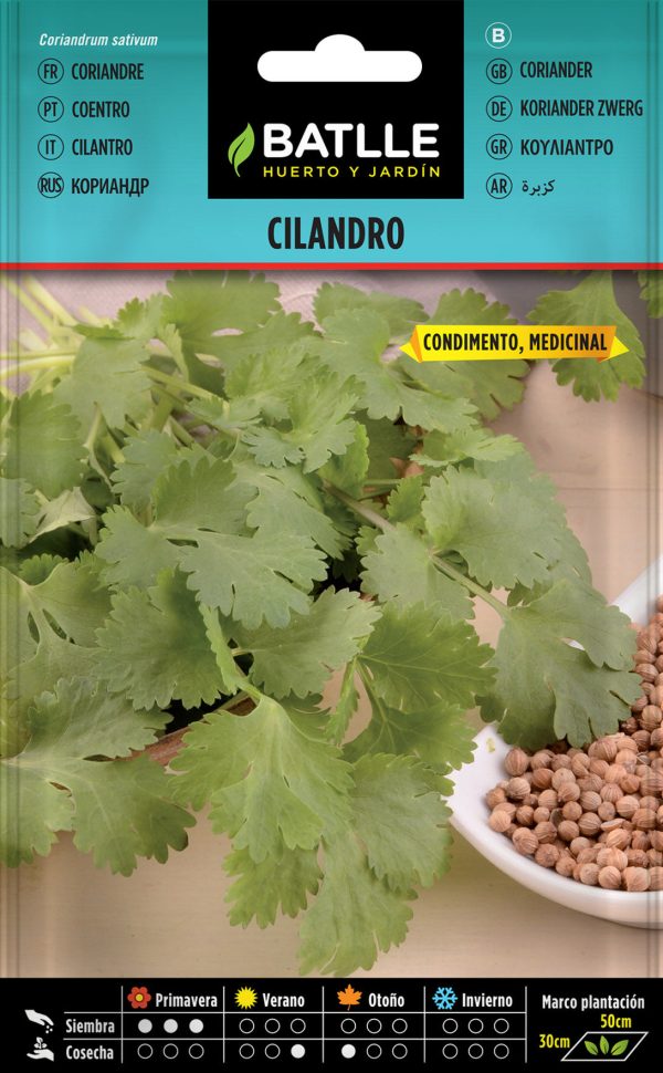 Semillas Cilandro Coriandum sativum