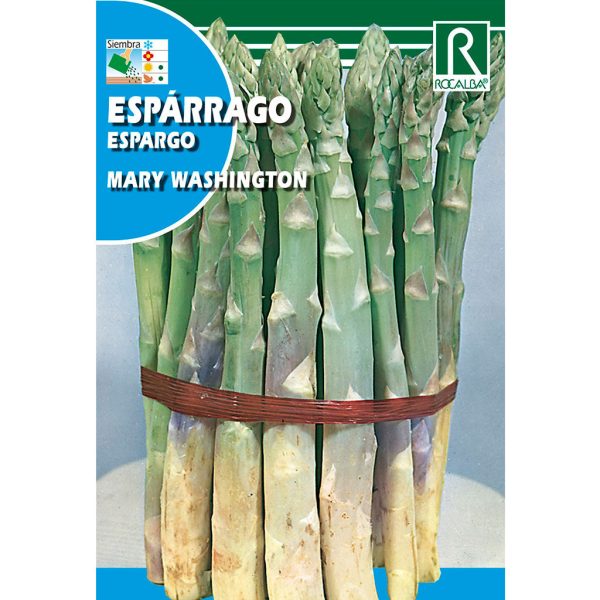 Semillas Esparrago Verde Mary Washington