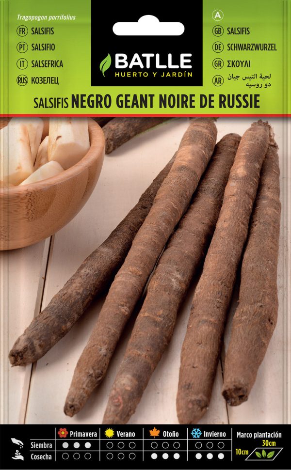 Semillas Salsifis Negro Geant Noire De Russie