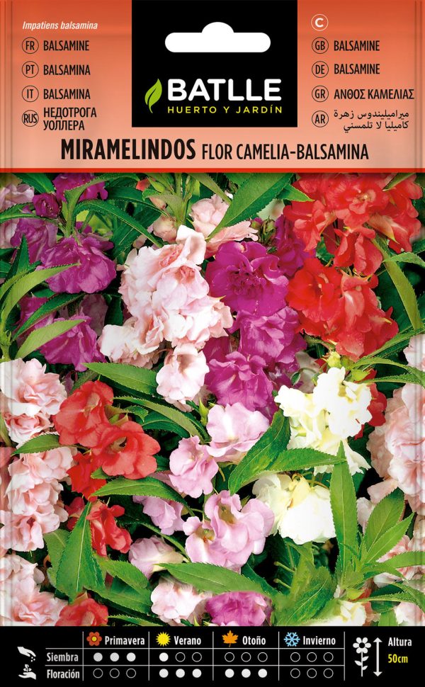 Semillas Miramelindos Flor Camelia-Balsamina