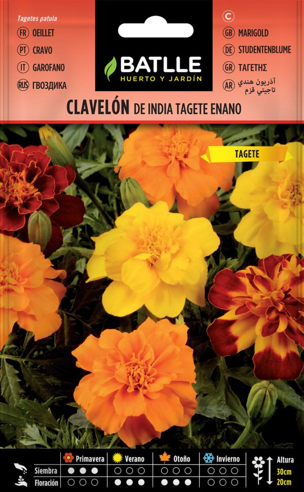 Semillas Clavelon De La India Tagete Enano