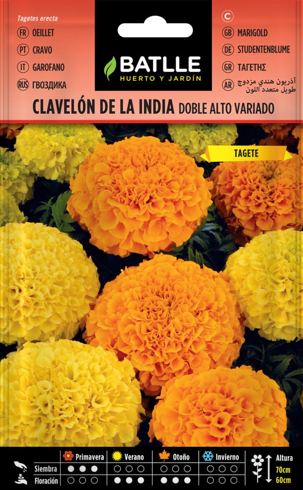 Semillas Clavelon De La India Doble Alto Variado