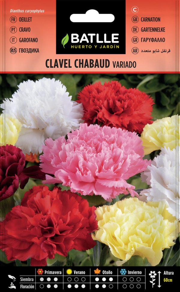 Semillas Clavel Chabaud Variado Dianthus caryophyllus