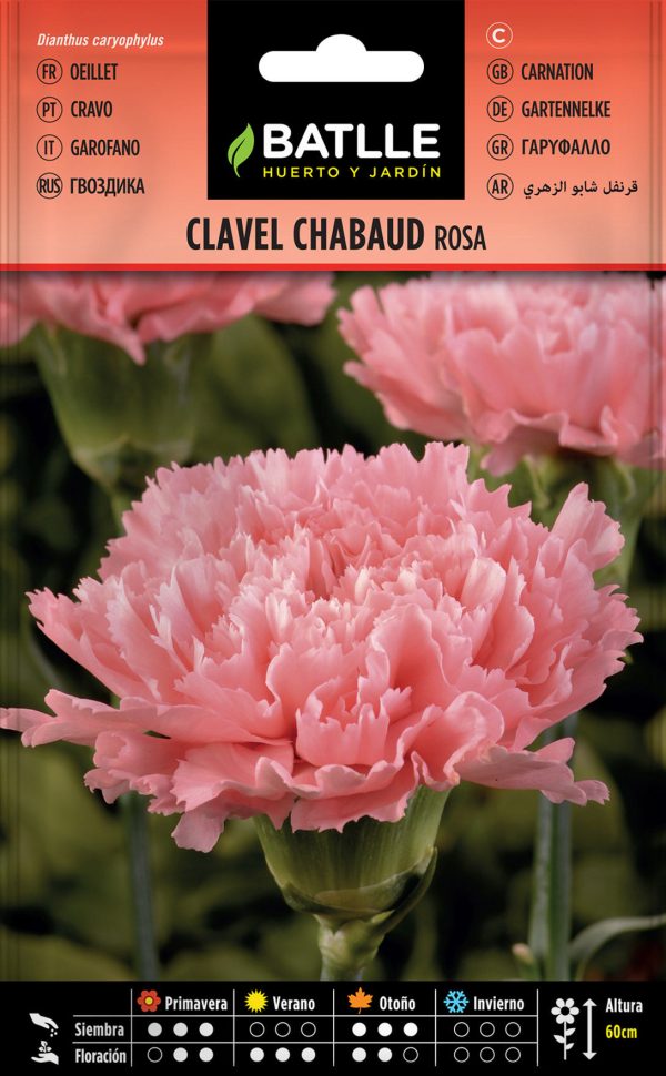 Semillas Clavel Chabaud Doble Estriado Rosa