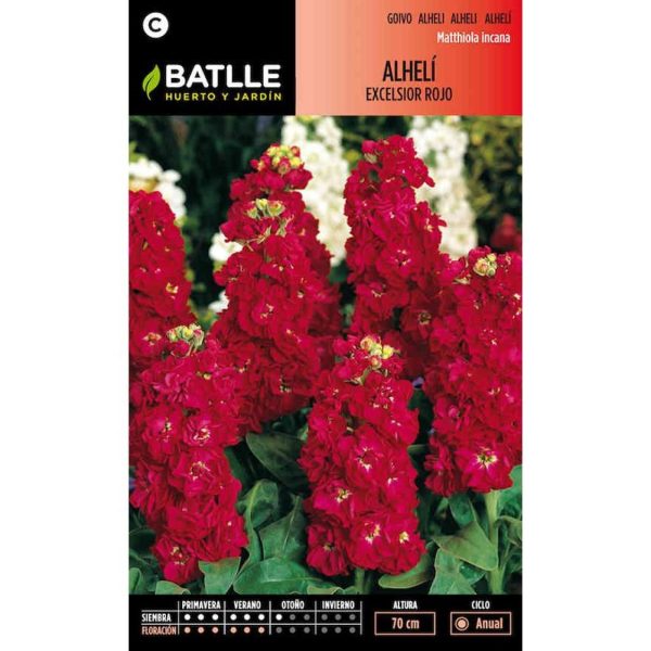 Semillas alheli excelsior rojo Matthiola incana