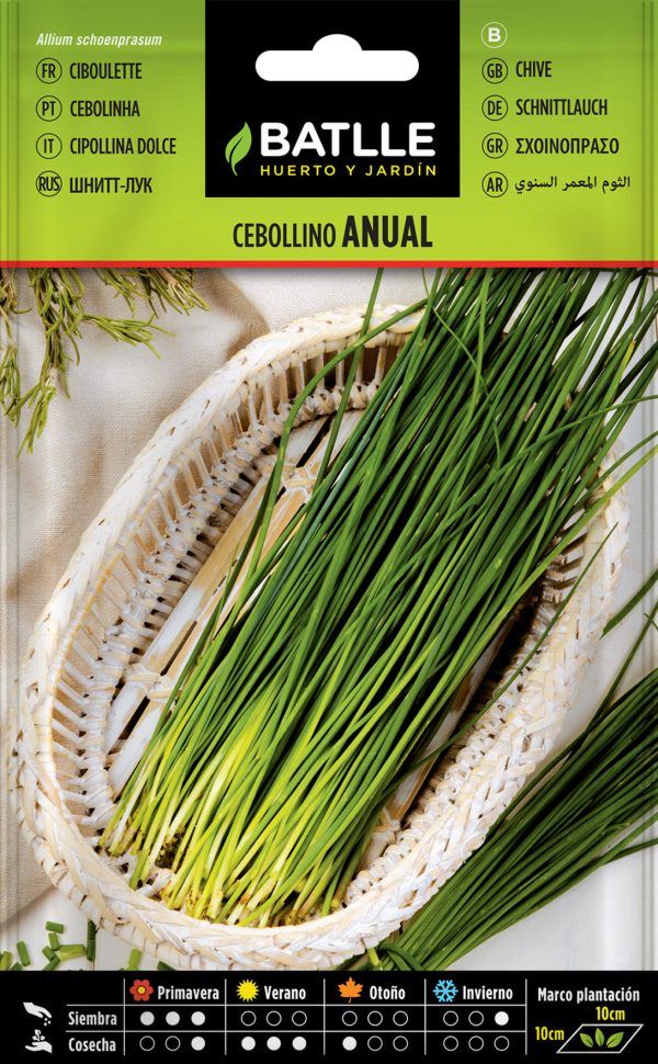 Semillas Cebollino Anual