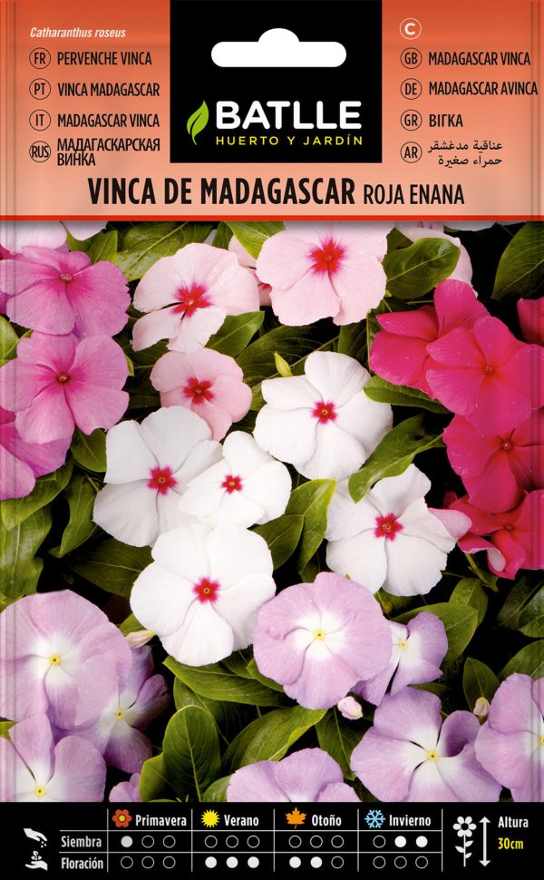 Semillas Vinca De Madagascar Roja Enana