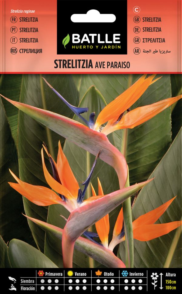 Semillas Strelitzia Ave Del Paraiso Strelizia reginae