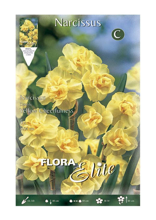 Bulbos Narciso Doble Yellow cheerfulness