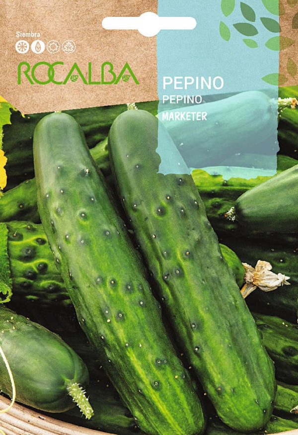 Semillas Pepino Marketer Rocalba