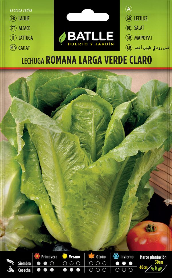 Semillas Lechuga Larga Verde Claro