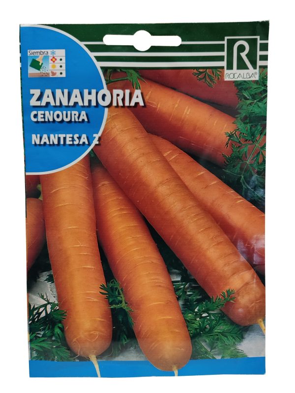 Semillas Zanahoria Cenoura Nantesa 2