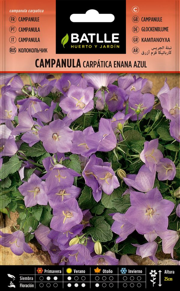 Semillas Campanula Carpática Enana Azul