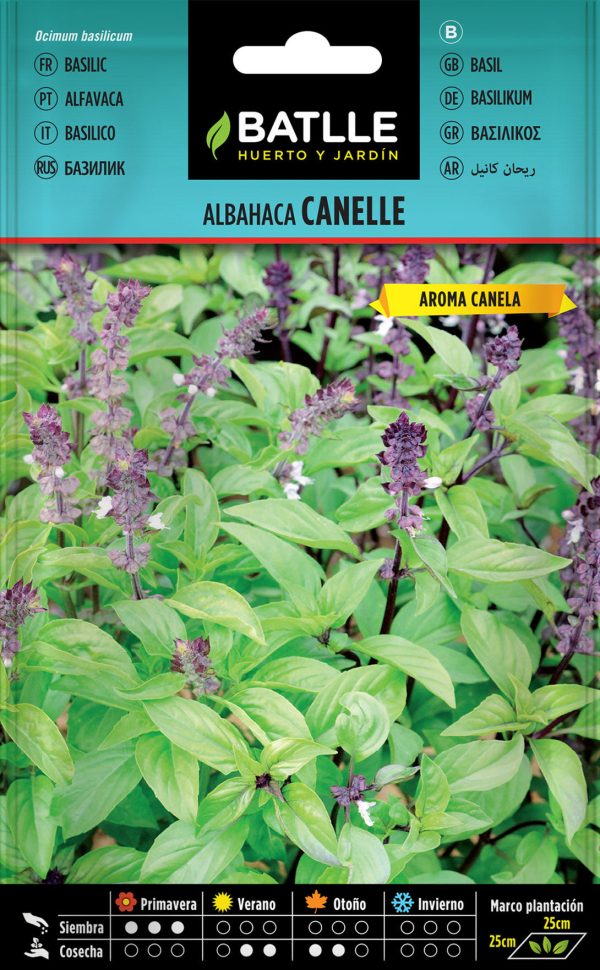 Semillas Albahaca Cannelle