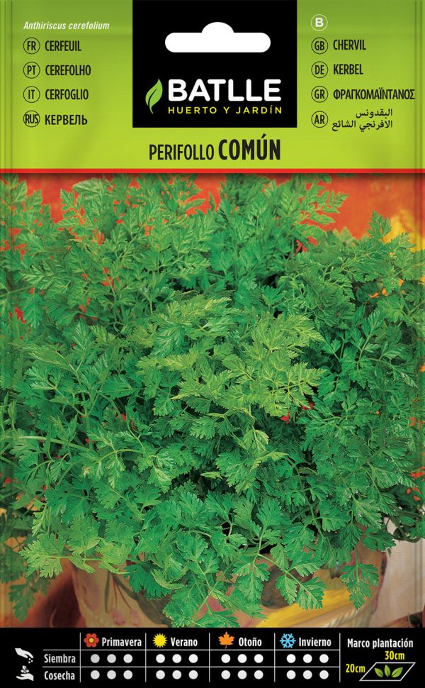 Semillas Perifollo Común