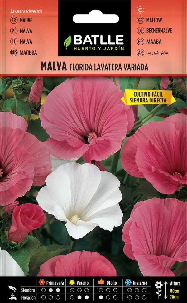 Semillas Malva Florida Lavatera Variada