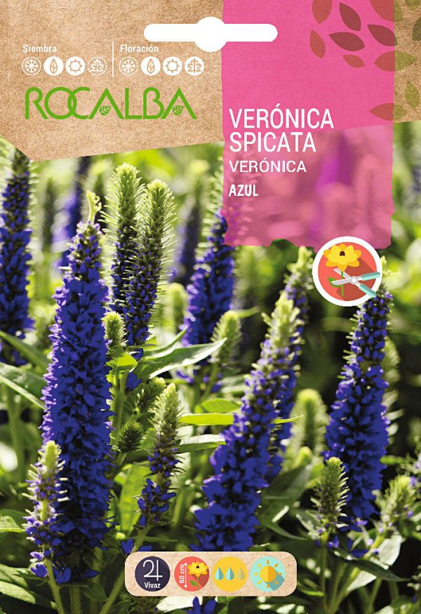 Semillas Verónica Spicata Azul Rocalba