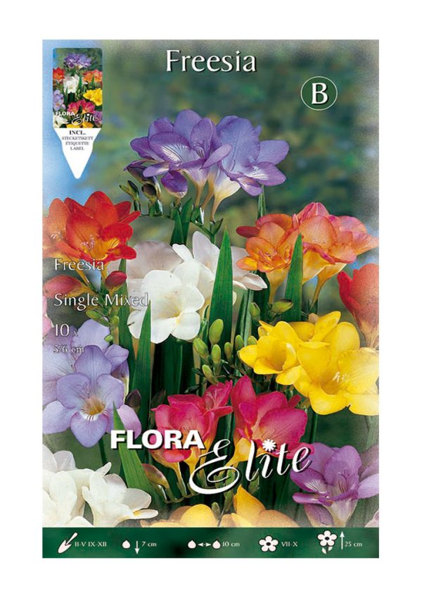 Bulbos Fresia Simple Mixed Elite