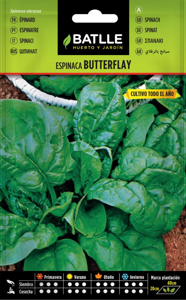 Semillas Espinaca Butterflay
