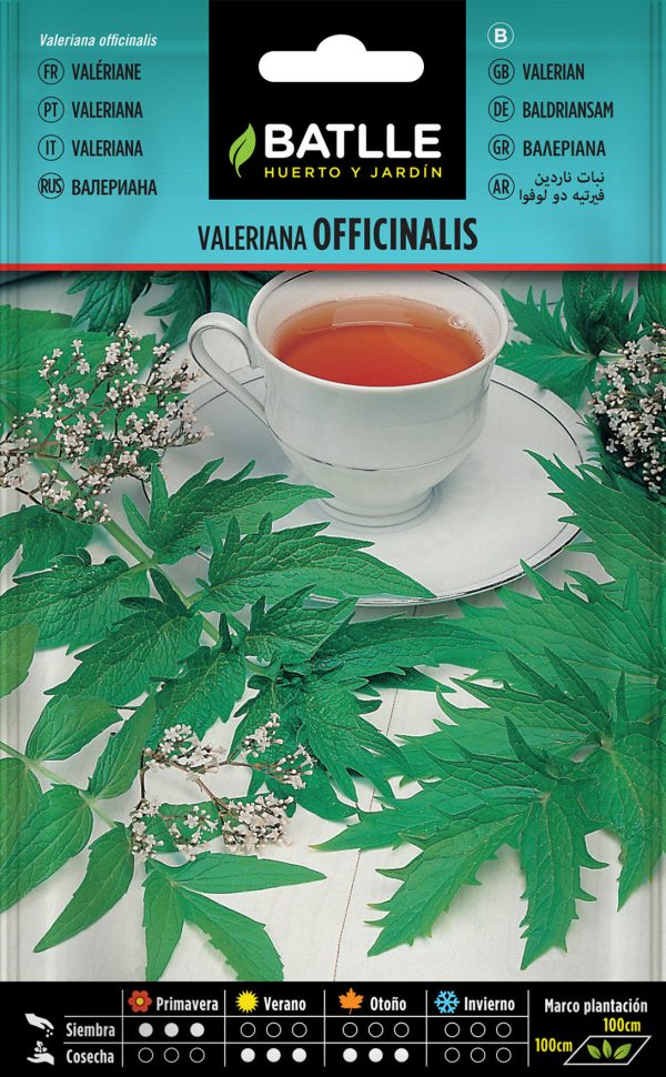 Semillas Valeriana Officinalis Valeriana officinalis