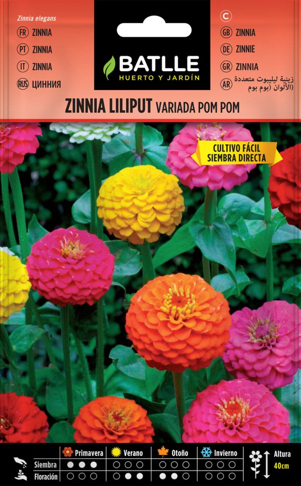 Semillas Zinnia Liliput Variada Pom Pom
