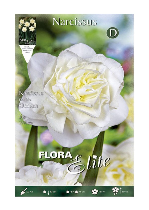 Bulbos Narciso Doble Obdam Elite