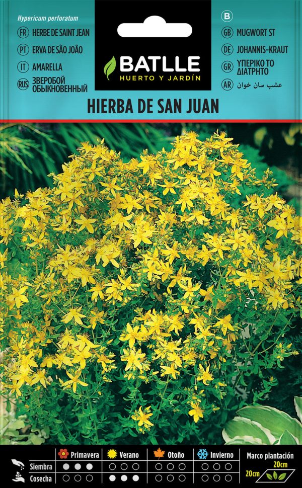 Semillas Hierba De San Juan