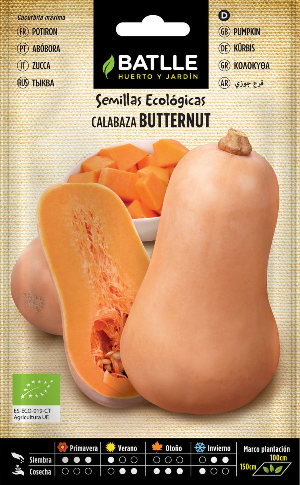 Semillas Ecológicas Calabaza Butternut