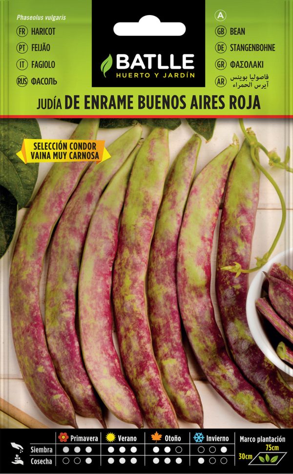 Semillas Judía De Enrame Buenos Aires Roja