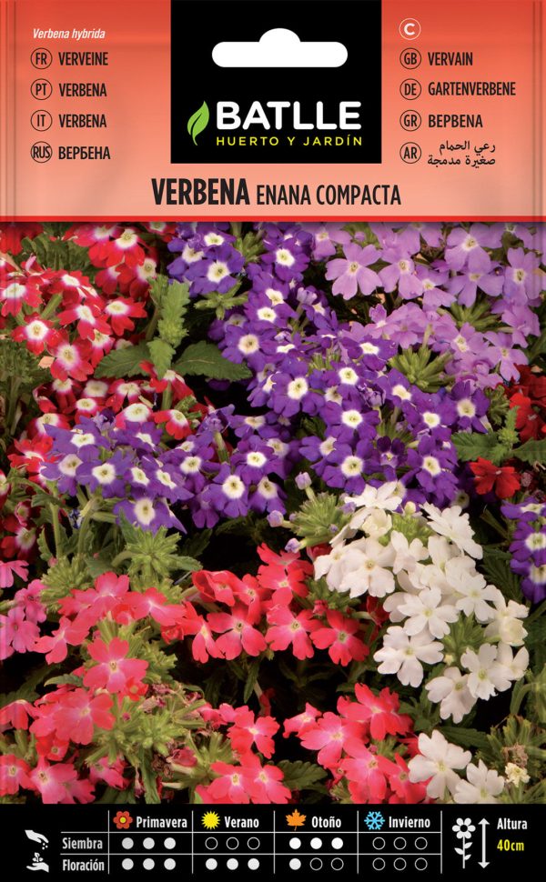 Semillas Verbena Enana Compacta