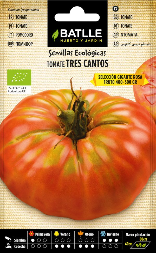 Semillas Ecológicas Tomate Tres Cantos Sel. Gigante Rosa
