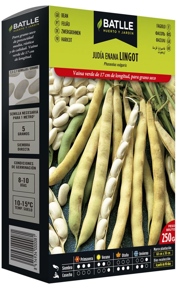 Semillas Judía Enana Lingot 250 gr