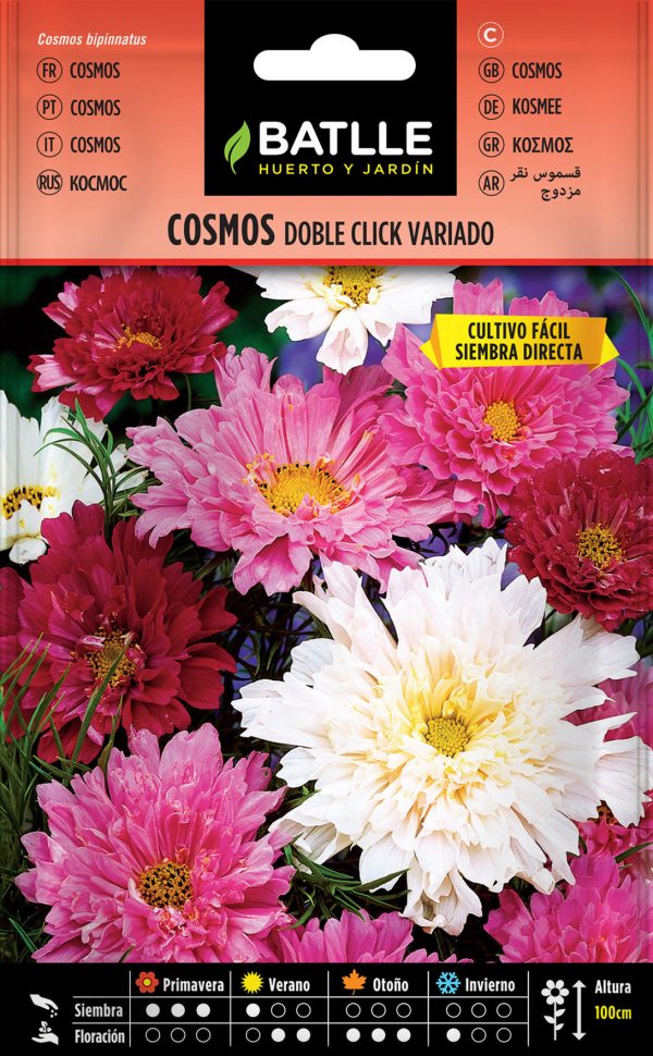 Semillas Cosmos Doble Click Variado Cosmos bipinnatus