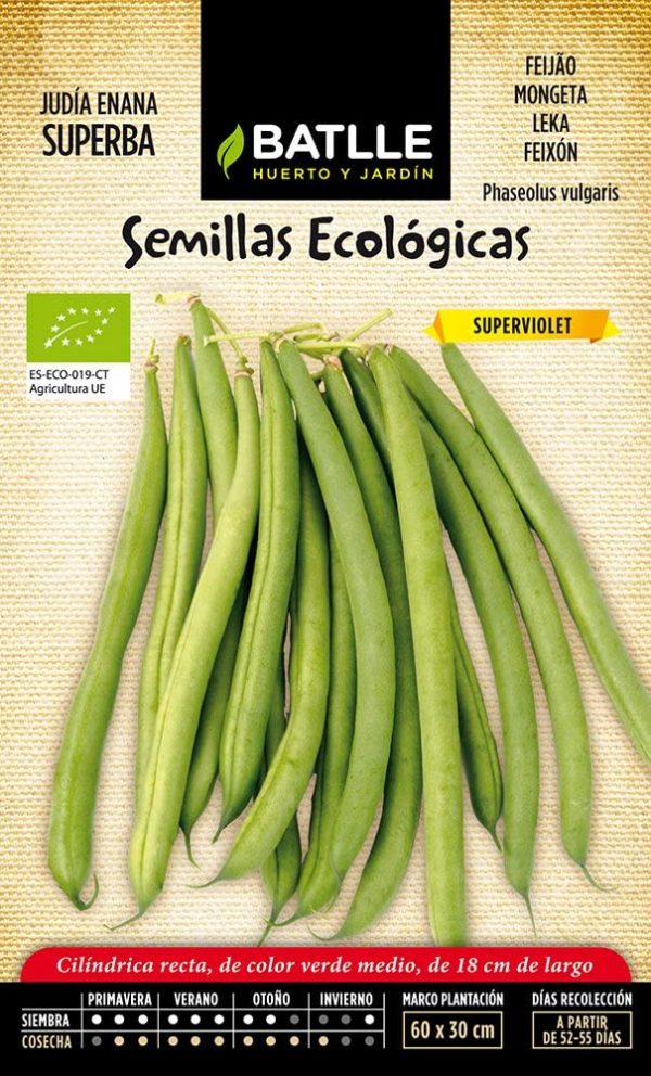 Semillas Ecológicas Judía Enana Superba