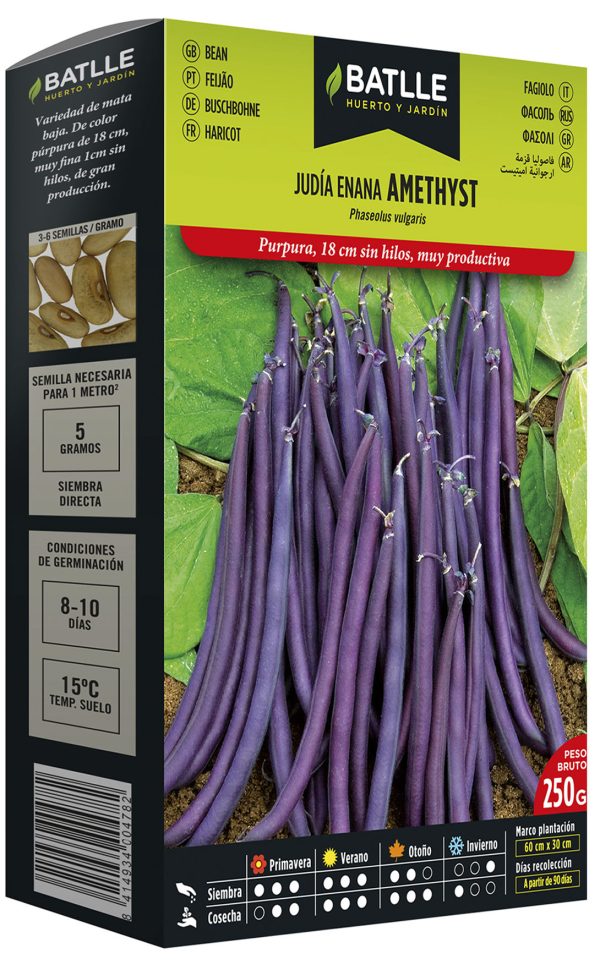 Semillas Judía Enana Amethyst 250 gr