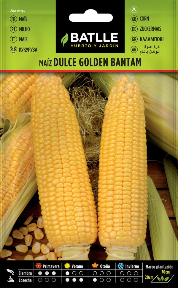 Semillas Maiz Dulce Golden Bantam