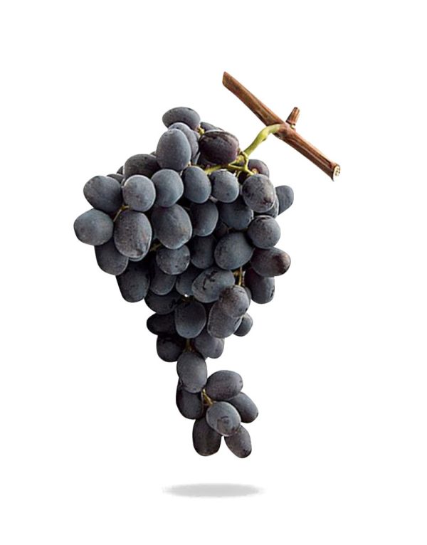 Parra Uva de Mesa Michele Palieri