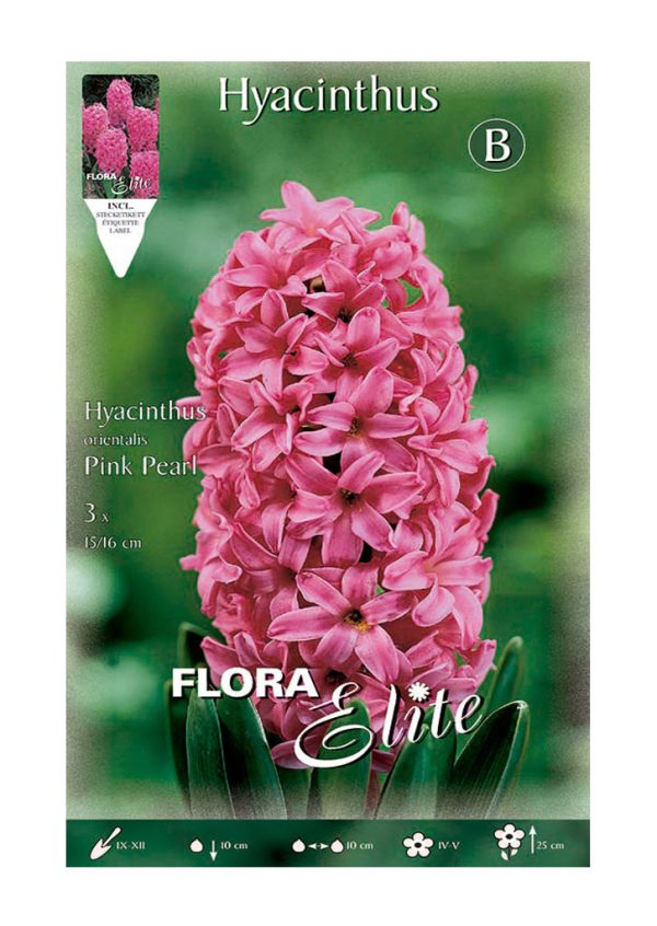 Bulbos Jacinto Orientalis Pink Pearl Elite