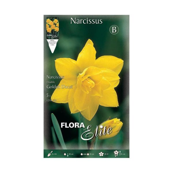 Bulbos Narciso Doble Golden Ducat