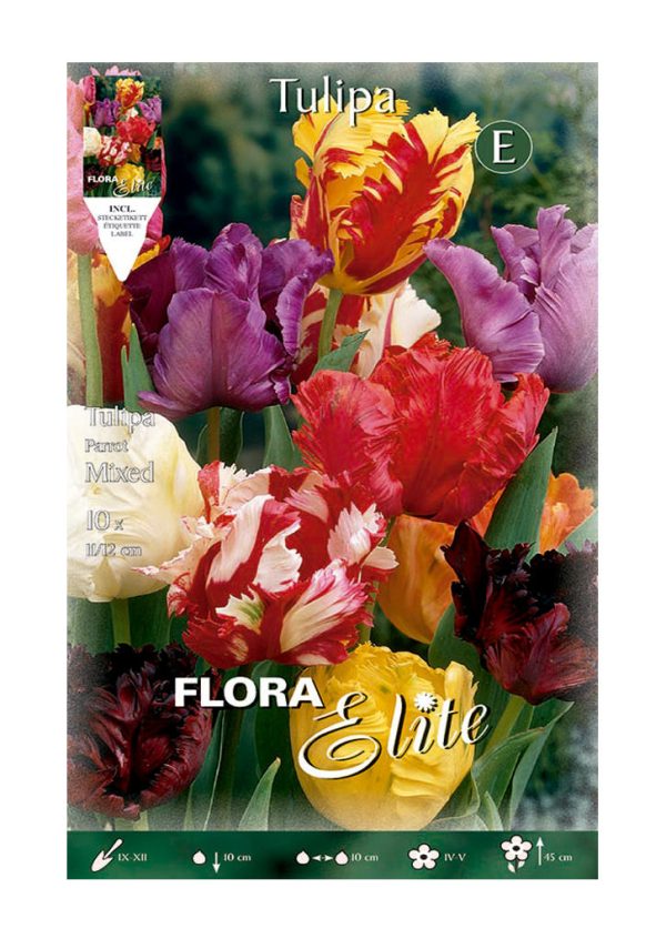 Bulbos Tulipan Mixed Parrot Elite