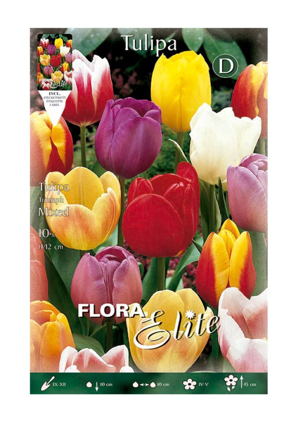 Bulbos Tulipan Triumph Mixed Elite