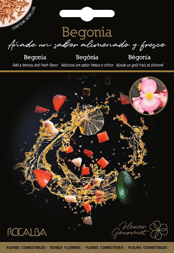 Semillas Flores Comestibles Begonia Flower Gourmet